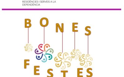NEWSLETTER NOVEMBRE-DESEMBRE 2024
